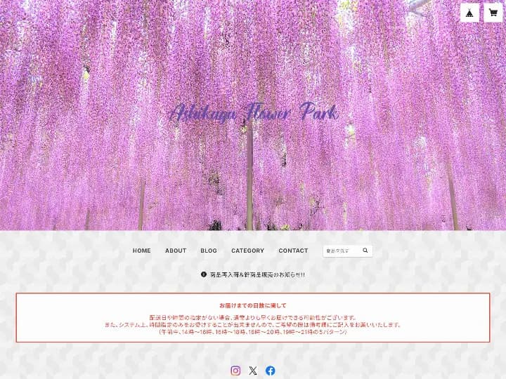 あしかがフラワーパーク featured image