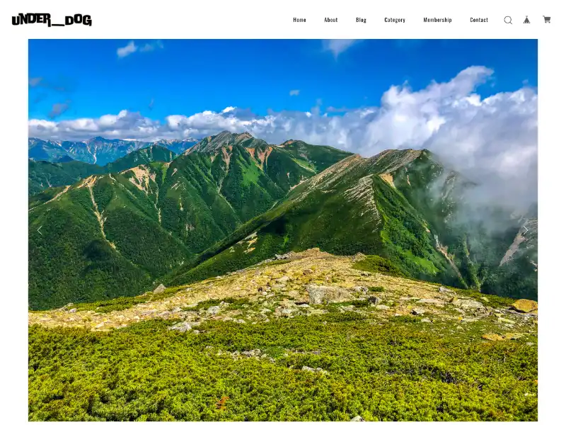 Under Dog Gear / アンダードッグギア featured image